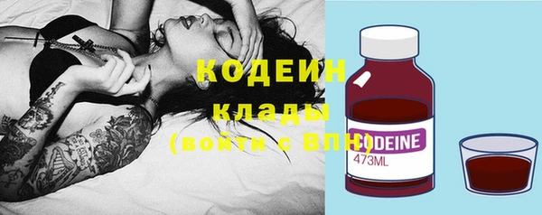 прущие грибы Аркадак