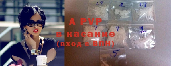 прущие грибы Аркадак