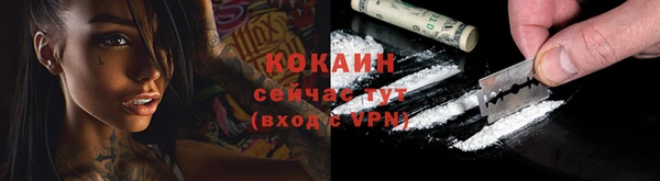 прущие грибы Аркадак
