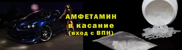 прущие грибы Аркадак