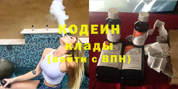 прущие грибы Аркадак