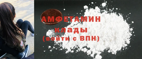 прущие грибы Аркадак