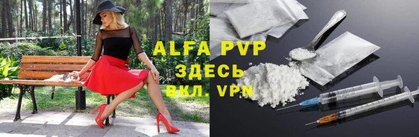 прущие грибы Аркадак