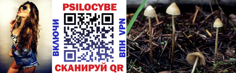 мега сайт  Пучеж  Галлюциногенные грибы прущие грибы 